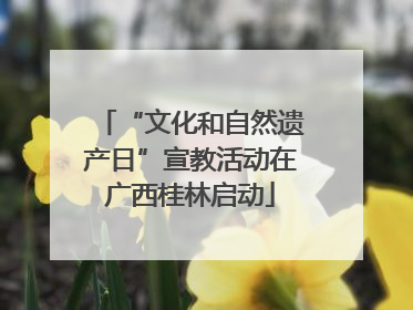 “文化和自然遗产日”宣教活动在广西桂林启动