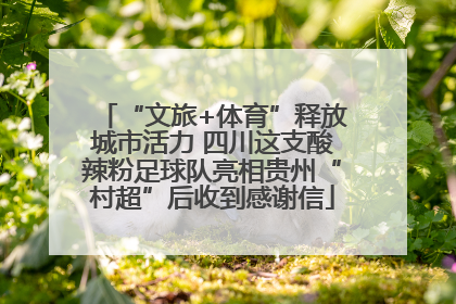 “文旅+体育”释放城市活力 四川这支酸辣粉足球队亮相贵州“村超”后收到感谢信