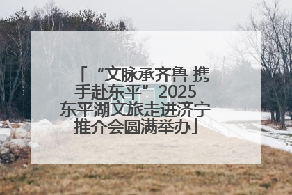 “文脉承齐鲁 携手赴东平”2025东平湖文旅走进济宁推介会圆满举办