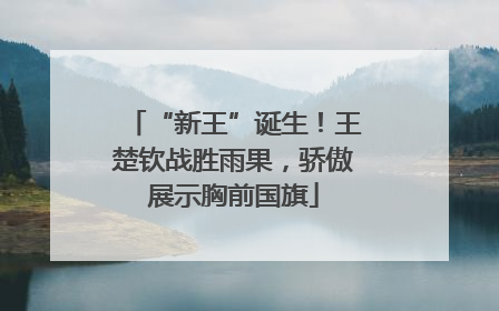 “新王”诞生！王楚钦战胜雨果，骄傲展示胸前国旗