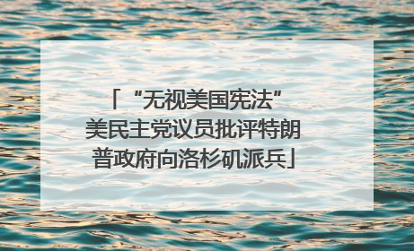 “无视美国宪法” 美民主党议员批评特朗普政府向洛杉矶派兵