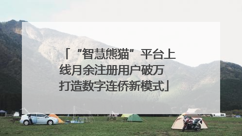 “智慧熊猫”平台上线月余注册用户破万 打造数字连侨新模式
