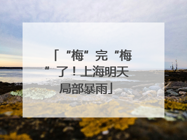 “梅”完“梅”了！上海明天局部暴雨