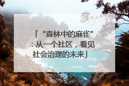 “森林中的麻雀”：从一个社区，看见社会治理的未来