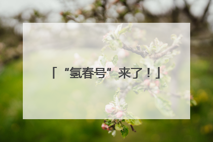 “氢春号”来了！