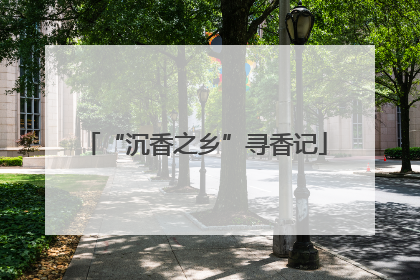 “沉香之乡”寻香记