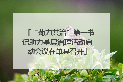 “菏力共治”第一书记助力基层治理活动启动会议在单县召开
