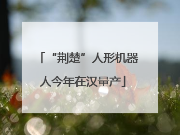 “荆楚”人形机器人今年在汉量产