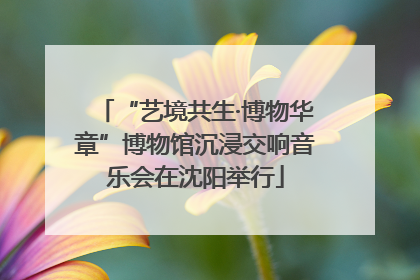 “艺境共生·博物华章”博物馆沉浸交响音乐会在沈阳举行