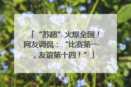 “苏超”火爆全国！网友调侃：“比赛第一，友谊第十四！”