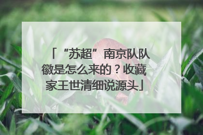 “苏超”南京队队徽是怎么来的？收藏家王世清细说源头