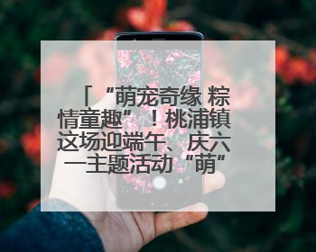 “萌宠奇缘 粽情童趣”！桃浦镇这场迎端午、庆六一主题活动“萌”翻全场～