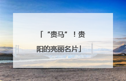 “贵马”！贵阳的亮丽名片