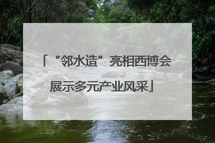 “邻水造”亮相西博会 展示多元产业风采