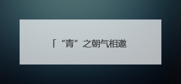 “青”之朝气相邀 “海”之胸怀奔赴——青海省招商引资上海推介会现场见闻
