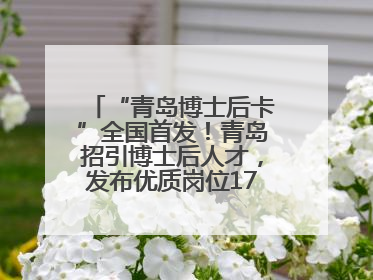 “青岛博士后卡”全国首发！青岛招引博士后人才，发布优质岗位1700余个