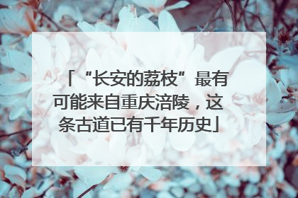 “长安的荔枝”最有可能来自重庆涪陵，这条古道已有千年历史