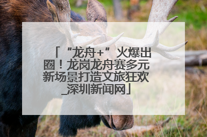“龙舟+”火爆出圈！龙岗龙舟赛多元新场景打造文旅狂欢_深圳新闻网