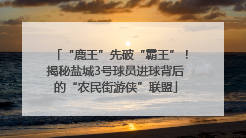 “鹿王”先破“霸王”！揭秘盐城3号球员进球背后的“农民街游侠”联盟