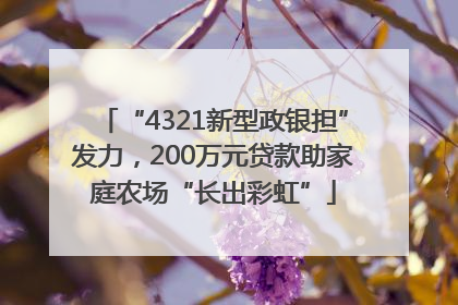 “4321新型政银担”发力，200万元贷款助家庭农场“长出彩虹”