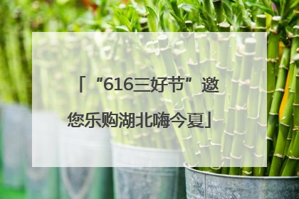 “616三好节”邀您乐购湖北嗨今夏