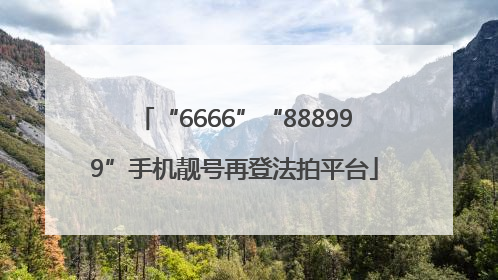 “6666”“888999”手机靓号再登法拍平台