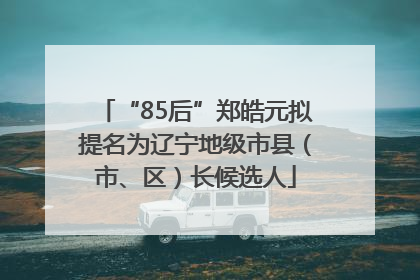 “85后”郑皓元拟提名为辽宁地级市县（市、区）长候选人