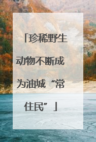 珍稀野生动物不断成为油城“常住民”