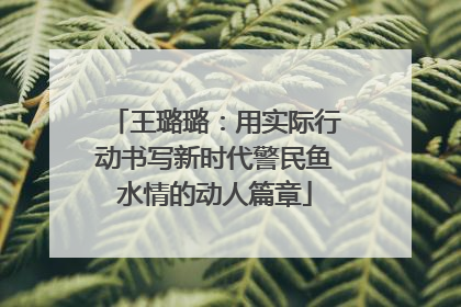 王璐璐：用实际行动书写新时代警民鱼水情的动人篇章