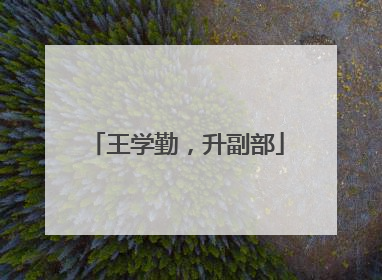 王学勤，升副部