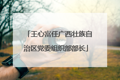 王心富任广西壮族自治区党委组织部部长