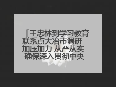 王忠林到学习教育联系点大冶市调研 加压加力 从严从实 确保深入贯彻中央八项规定精神学习教育取得实效