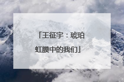 王征宇：琥珀虹膜中的我们