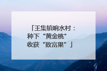 王集镇响水村：种下“黄金桃” 收获“致富果”
