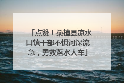 点赞！桑植县凉水口镇干部不惧河深流急，勇救落水人车