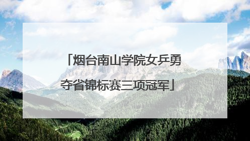 烟台南山学院女乒勇夺省锦标赛三项冠军