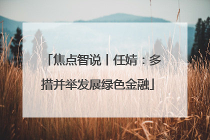 焦点智说丨任婧：多措并举发展绿色金融
