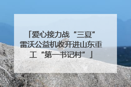爱心接力战“三夏” 雷沃公益机收开进山东重工“第一书记村”