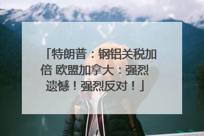 特朗普：钢铝关税加倍 欧盟加拿大：强烈遗憾！强烈反对！