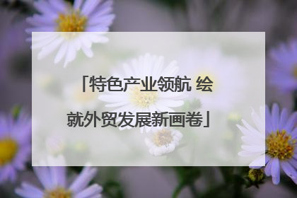 特色产业领航 绘就外贸发展新画卷