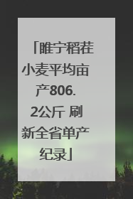 睢宁稻茬小麦平均亩产806.2公斤 刷新全省单产纪录
