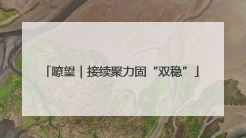 瞭望｜接续聚力固“双稳”
