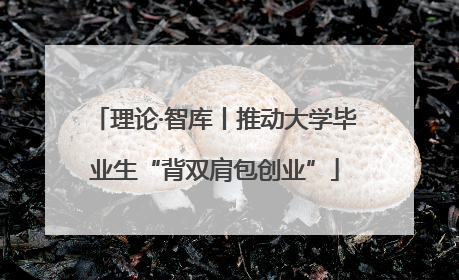 理论·智库丨推动大学毕业生“背双肩包创业”