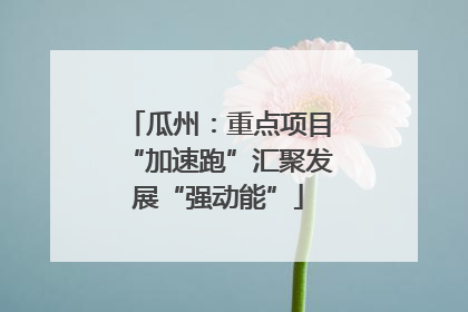 瓜州：重点项目“加速跑”汇聚发展“强动能”