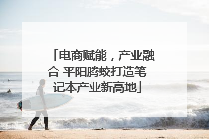 电商赋能，产业融合 平阳腾蛟打造笔记本产业新高地