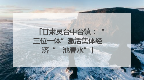甘肃灵台中台镇：“三位一体”激活集体经济“一池春水”