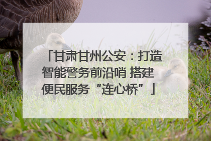 甘肃甘州公安：打造智能警务前沿哨 搭建便民服务“连心桥”