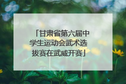 甘肃省第六届中学生运动会武术选拔赛在武威开赛
