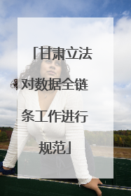甘肃立法对数据全链条工作进行规范