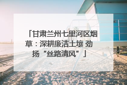 甘肃兰州七里河区烟草：深耕廉洁土壤 劲扬“丝路清风”